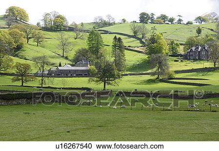 Stock Image - Sheep Farm. Fotosearch