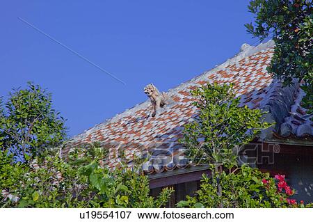 Shiisa on Roof View Large Photo Image Stock Photo - Shiisa on Roof. Fotosearch