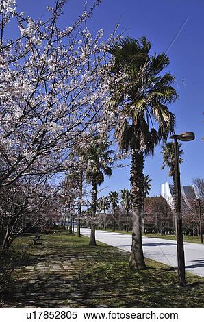 Shiokaze Park View Large Photo Image Stock Photography - Shiokaze Park. Fotosearch