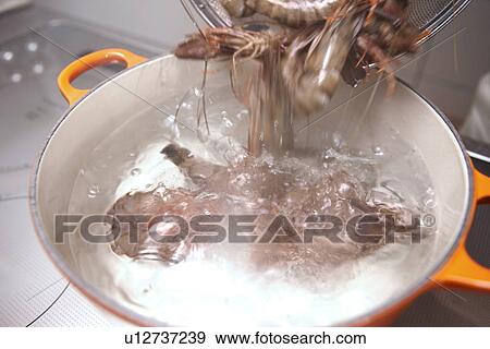 Stock Photo - Shrimps Being Poured into Boiling Water. Fotosearch