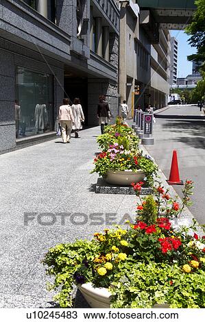 Stock Image - Sidewalk with potted flowers. Fotosearch