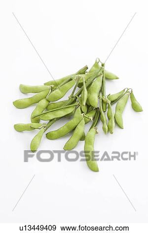 Soybeans View Large Photo Image Stock Photo - Soybeans. Fotosearch