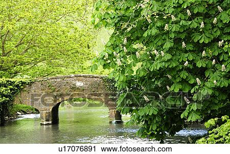 Stone Bridge Over River View Large Photo Image Stock Image - Stone Bridge Over River. Fotosearch