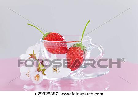 Stock Photo - Strawberries and Cherry Blossoms in Glass Cup. Fotosearch