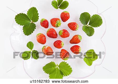 Stock Image - Strawberries and Leaves on Plate. Fotosearch