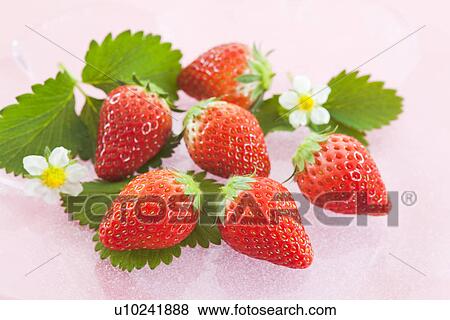 Strawberries View Large Photo Image Stock Photo - Strawberries. Fotosearch