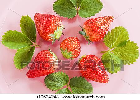 Strawberries View Large Photo Image Stock Photo - Strawberries. Fotosearch