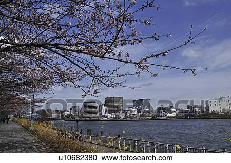 Sumida River View Large Photo Image Stock Image - Sumida River. Fotosearch