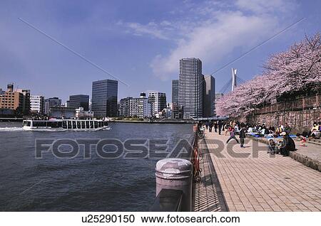 Sumida River View Large Photo Image Stock Image - Sumida River. Fotosearch