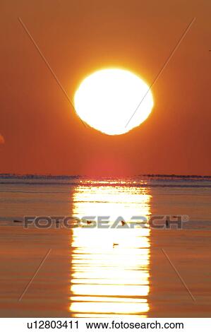 Sun Rising Over Sea View Large Photo Image Stock Image - Sun Rising Over Sea. Fotosearch