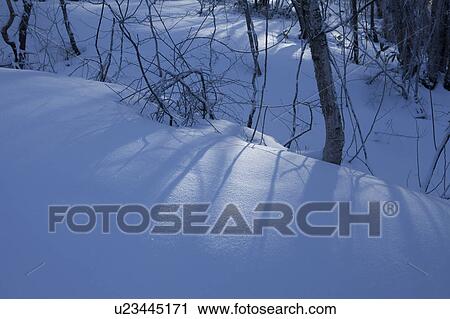 Sunlight on Snow View Large Photo Image Stock Image - Sunlight on Snow. Fotosearch