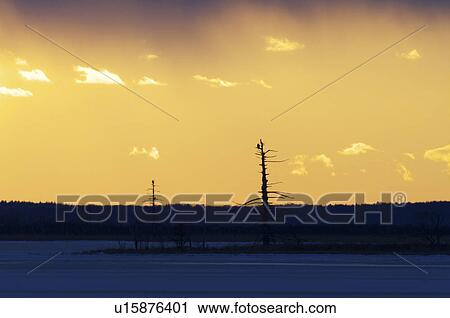 Sunrise Over Winter Landscape View Large Photo Image Stock Image - Sunrise Over Winter Landscape. Fotosearch
