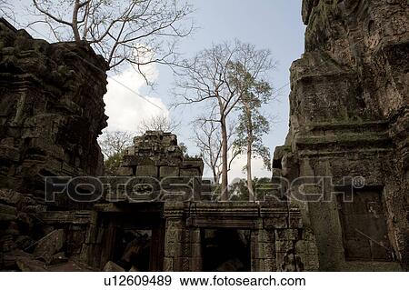 Ta Prohm Temple Ruins View Large Photo Image Stock Photo - Ta Prohm Temple Ruins. Fotosearch