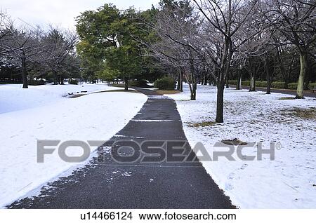 Tatsuminomori Greenway Park, Koto ward, Tokyo Prefecture, Honshu, Japan View Large Photo Image Picture - Tatsuminomori Greenway Park, Koto ward, Tokyo Prefecture, Honshu, Japan. Fotosearch