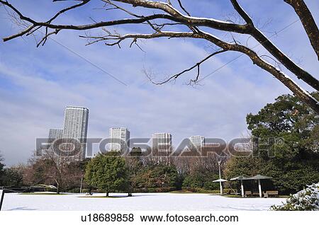 Stock Photo - Tatsuminomori Greenway Park, Koto ward, Tokyo Prefecture, Honshu, Japan. Fotosearch
