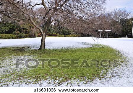 Tatsuminomori Greenway Park, Koto ward, Tokyo Prefecture, Honshu, Japan View Large Photo Image Stock Photograph - Tatsuminomori Greenway Park, Koto ward, Tokyo Prefecture, Honshu, Japan. Fotosearch