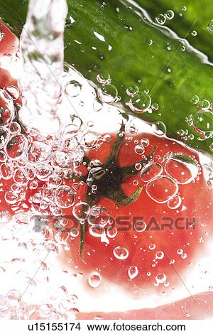 Tomato and Cucumber Underwater View Large Photo Image Picture - Tomato and Cucumber Underwater. Fotosearch