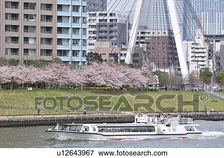 Tourboat at Sumida River View Large Photo Image Stock Photo - Tourboat at Sumida River. Fotosearch
