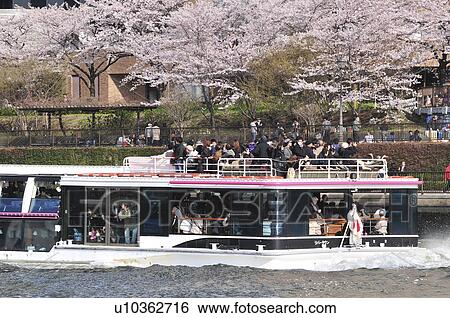 Tourboat at Sumida River View Large Photo Image Stock Photograph - Tourboat at Sumida River. Fotosearch