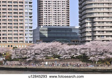 Stock Image - Tsukuda Park. Fotosearch