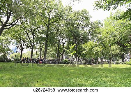Union Square Park View Large Photo Image Stock Photo - Union Square Park. Fotosearch
