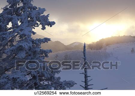Utsukushigahara Highland at Dawn View Large Photo Image Picture - Utsukushigahara Highland at Dawn. Fotosearch