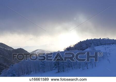 Utsukushigahara Highland at Dawn View Large Photo Image Stock Photo - Utsukushigahara Highland at Dawn. Fotosearch
