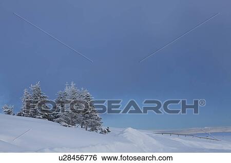 Stock Photograph - Utsukushigahara Highland. Fotosearch