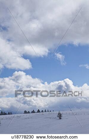 Utsukushigahara in Winter View Large Photo Image Stock Image - Utsukushigahara in Winter. Fotosearch