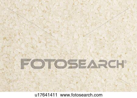 White Rice View Large Photo Image Stock Image - White Rice. Fotosearch