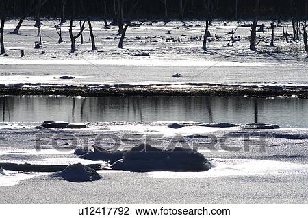 Stock Image - Winter Landscape. Fotosearch