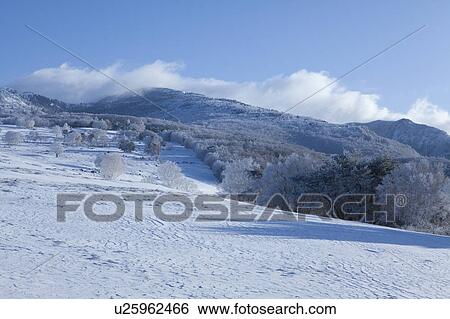 Winter Landscape View Large Photo Image Stock Photograph - Winter Landscape. Fotosearch