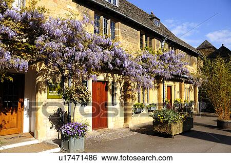 Wisteria Growing on House View Large Photo Image Stock Photograph - Wisteria Growing on House. Fotosearch