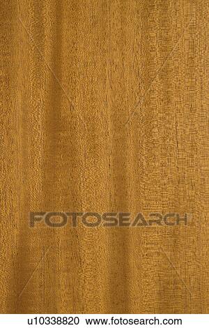 Woodgrain View Large Photo Image Stock Image - Woodgrain. Fotosearch