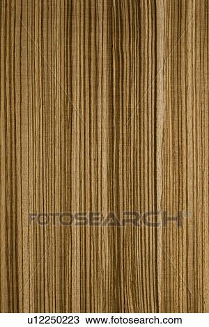 Woodgrain View Large Photo Image Stock Image - Woodgrain. Fotosearch