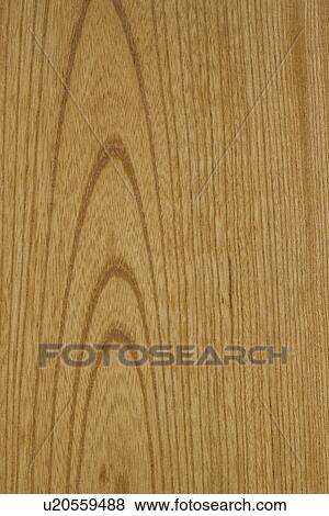 Woodgrain View Large Photo Image Stock Photo - Woodgrain. Fotosearch