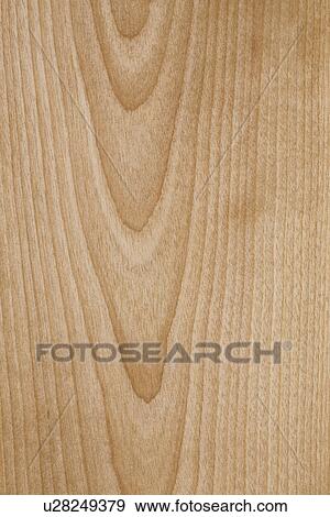 Woodgrain View Large Photo Image Stock Photo - Woodgrain. Fotosearch