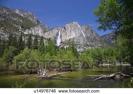 Yosemite Waterfall and Merced River View Large Photo Image Stock Photograph - Yosemite Waterfall and Merced River. Fotosearch