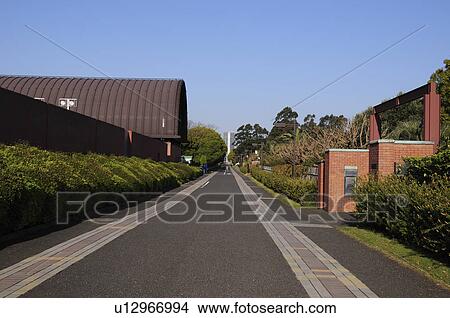 Picture - Yumenoshima Park. Fotosearch