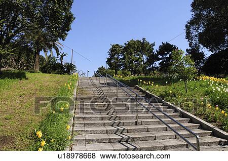 Stock Photo - Yumenoshima Park. Fotosearch