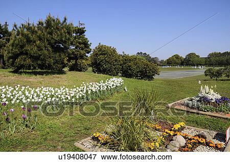 Yumenoshima Park View Large Photo Image Stock Photo - Yumenoshima Park. Fotosearch