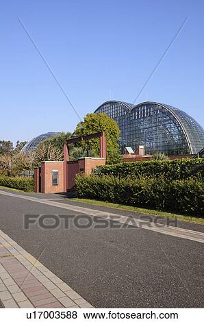 Yumenoshima Tropical Plant Dome View Large Photo Image Stock Photo - Yumenoshima Tropical Plant Dome. Fotosearch