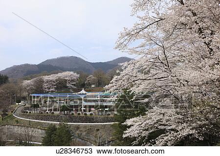 Amusement Park in Spring View Large Photo Image Stock Image - Amusement Park in Spring. Fotosearch