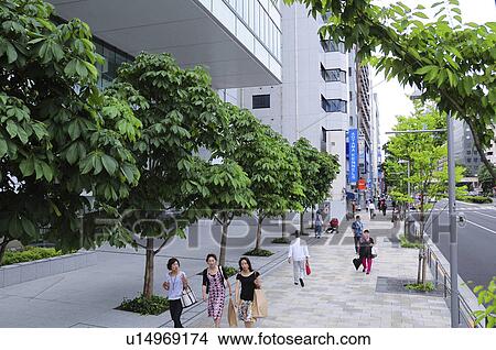 Aoyama street, Minato Ward, Tokyo Prefecture, Japan View Large Photo Image Picture - Aoyama street, Minato Ward, Tokyo Prefecture, Japan. Fotosearch