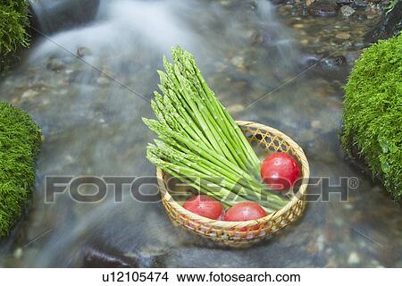 Asparagus and Tomatoes in Basket View Large Photo Image Picture - Asparagus and Tomatoes in Basket. Fotosearch