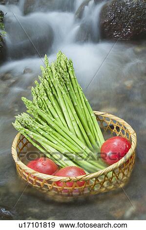 Stock Photo - Asparagus and Tomatoes in Basket. Fotosearch