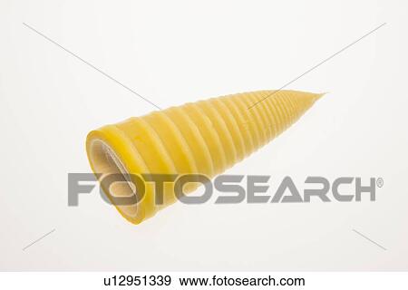 Stock Photo - Bamboo Shoot. Fotosearch