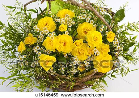 Basket of Yellow Roses View Large Photo Image Stock Photo - Basket of Yellow Roses. Fotosearch
