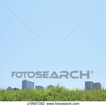 Blue Sky Over City, Grass in Foreground View Large Photo Image Stock Image - Blue Sky Over City, Grass in Foreground. Fotosearch