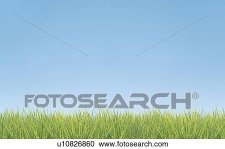 Stock Image - Blue Sky Over Grass. Fotosearch